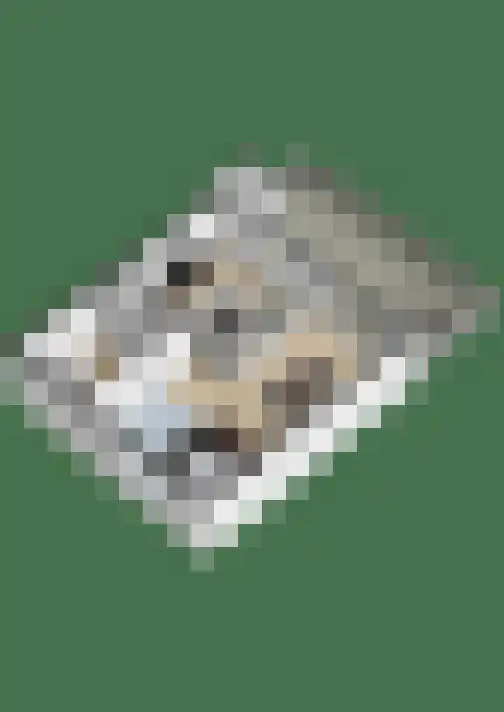 Vincentiuspad 1 01 Tilburg thumbnail 37