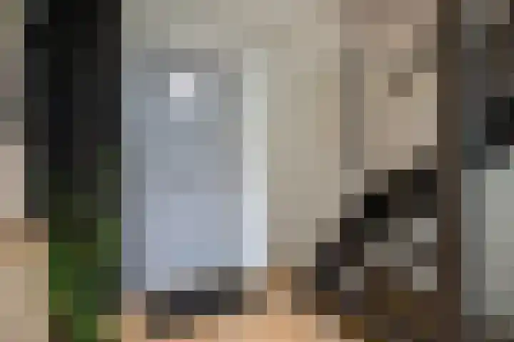 Vincentiuspad 1 01 Tilburg thumbnail 4