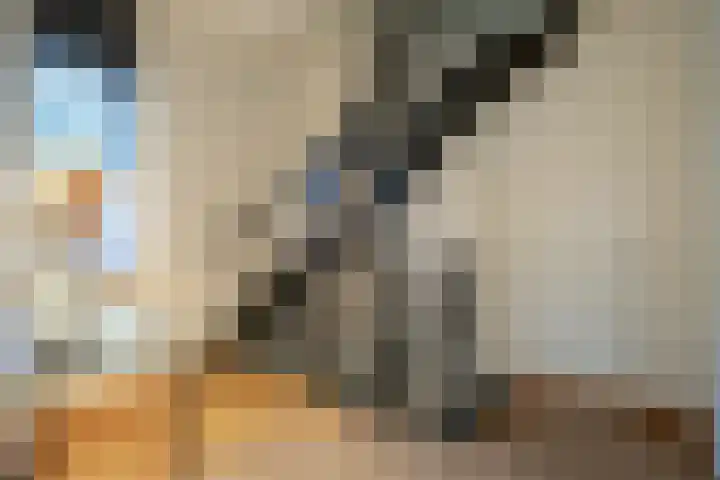 Vincentiuspad 1 01 Tilburg thumbnail 6
