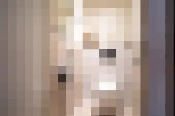 Vincentiuspad 1 01 Tilburg thumbnail 7