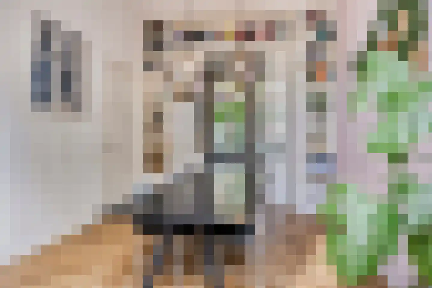 Vincentiuspad 10 Tilburg thumbnail 10