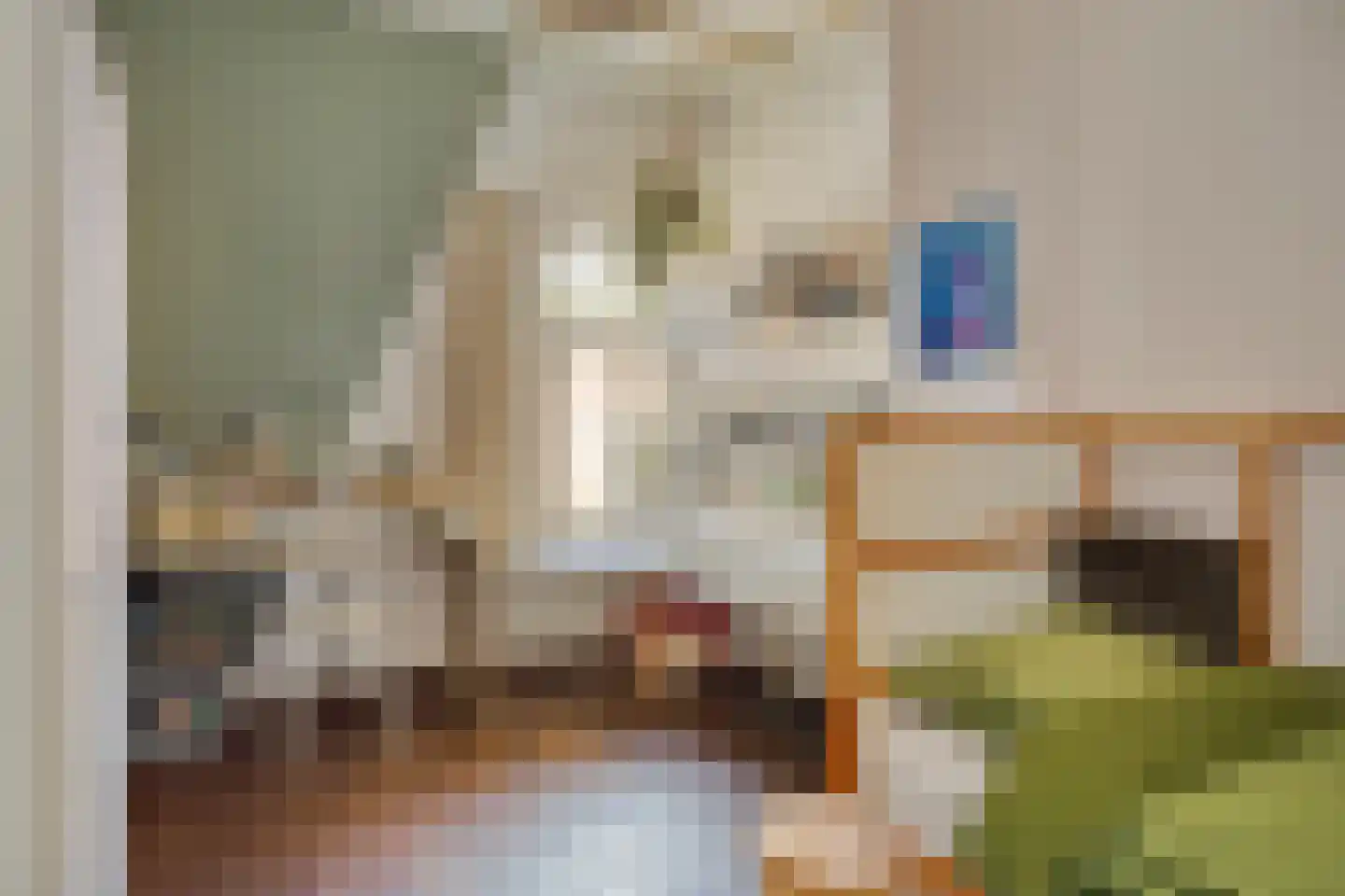 Vincentiuspad 10 Tilburg thumbnail 33