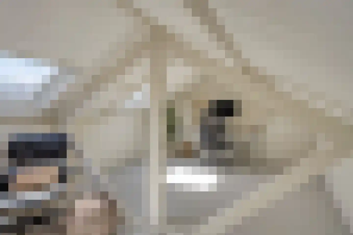 Vincentiuspad 10 Tilburg thumbnail 38