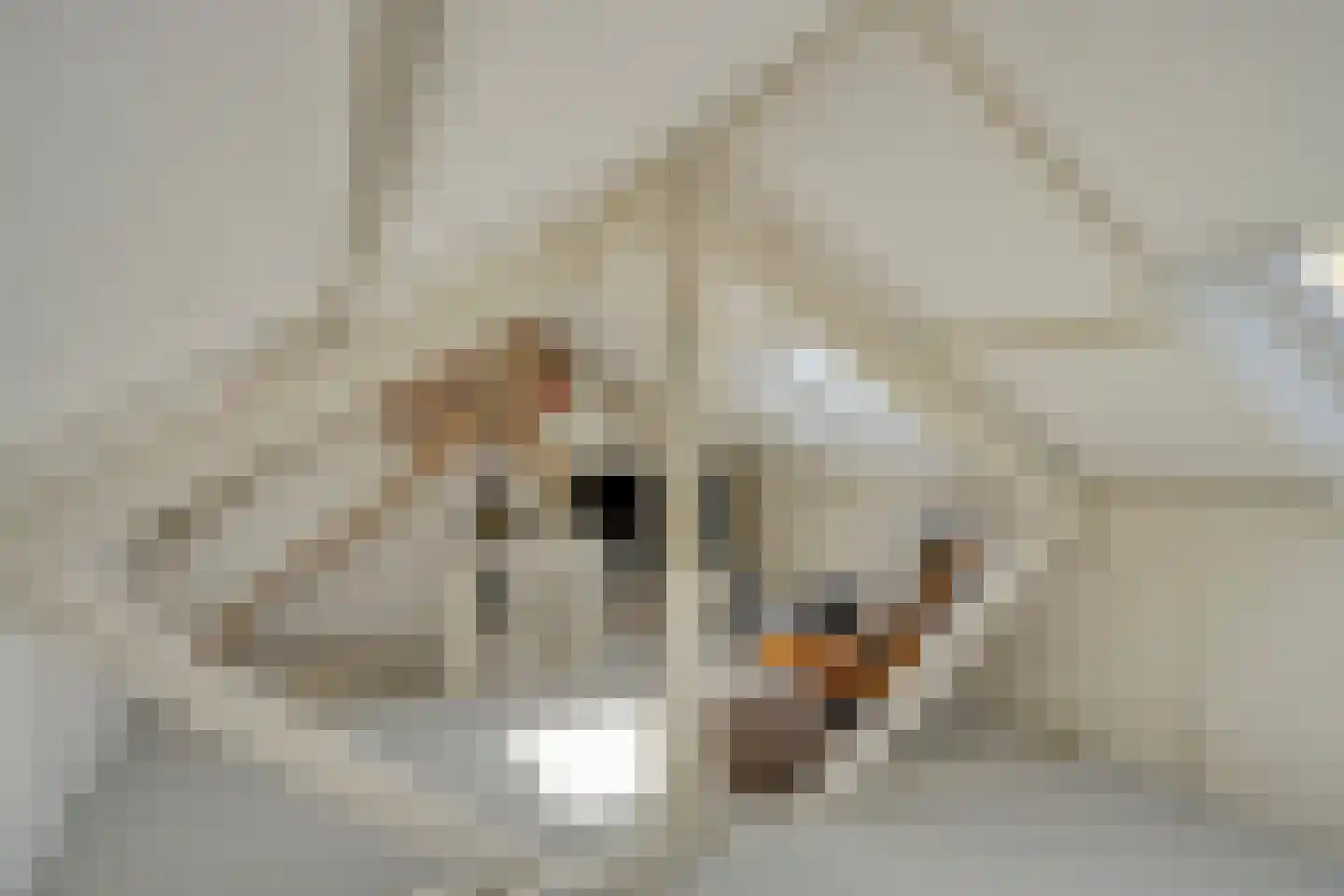Vincentiuspad 10 Tilburg thumbnail 39