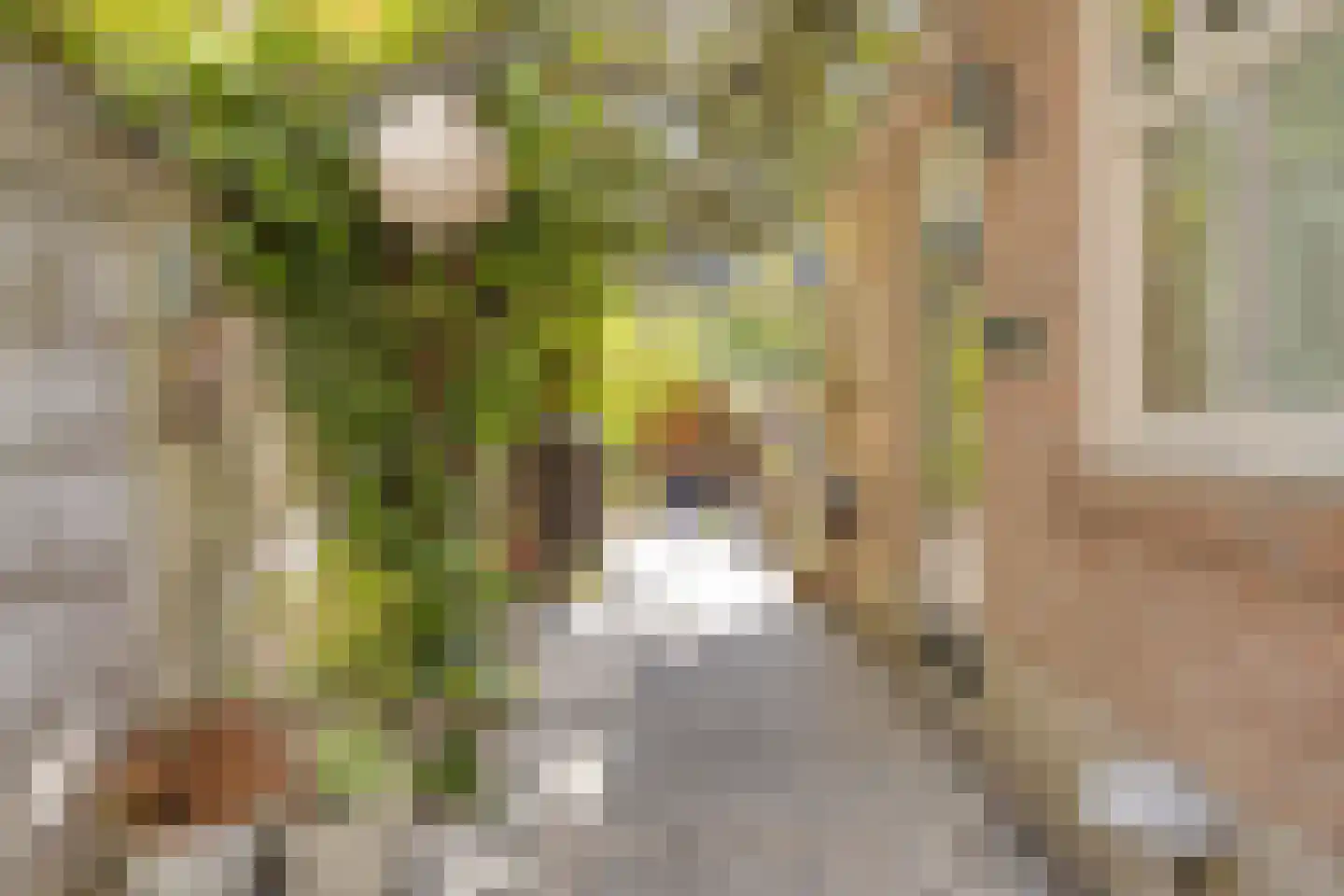 Vincentiuspad 10 Tilburg thumbnail 40
