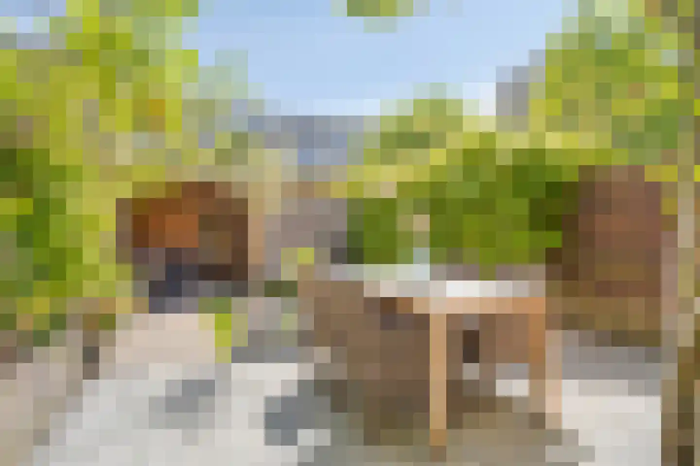 Vincentiuspad 10 Tilburg thumbnail 41