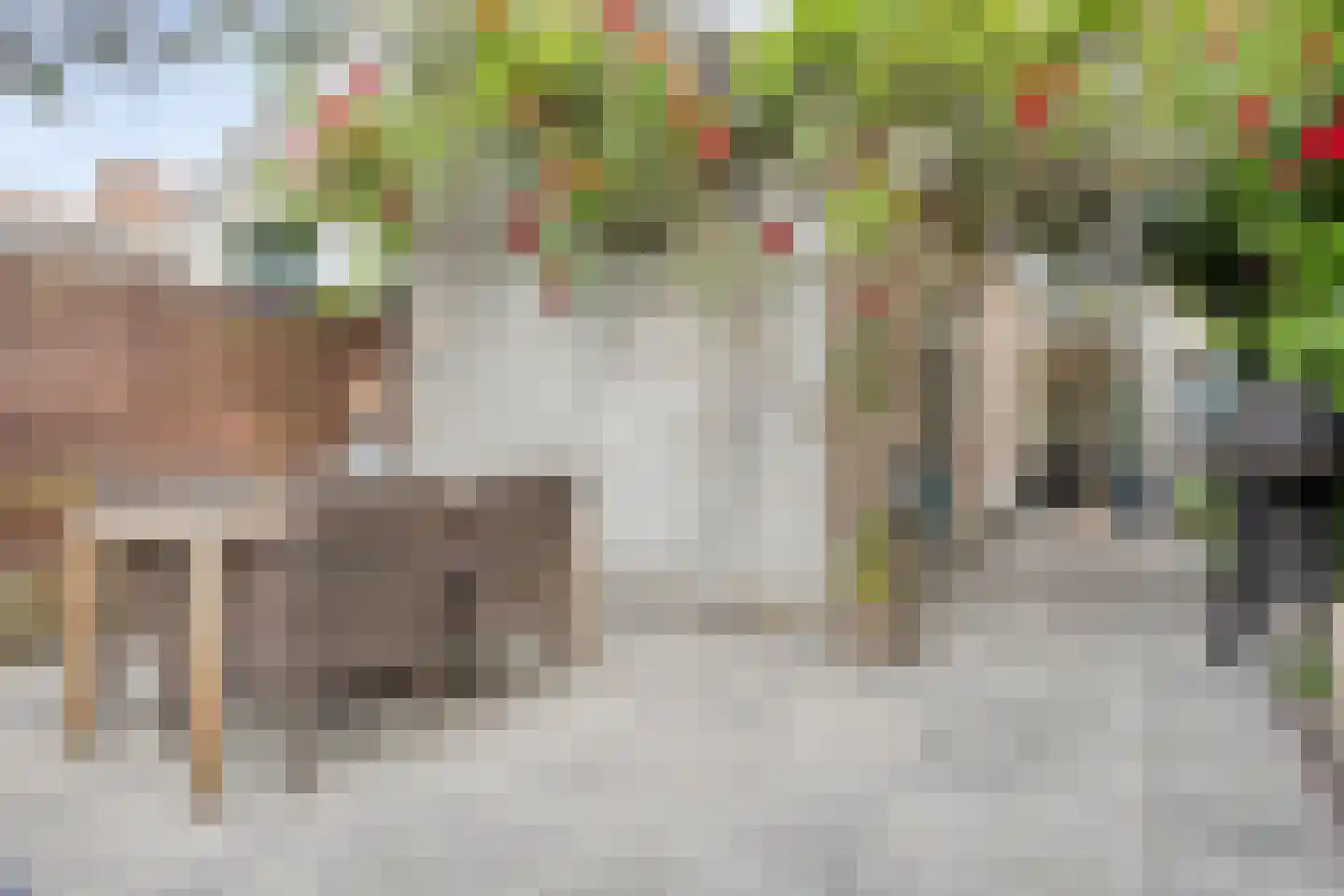 Vincentiuspad 10 Tilburg thumbnail 42