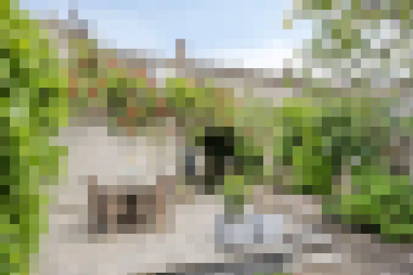 Vincentiuspad 10 Tilburg thumbnail 43