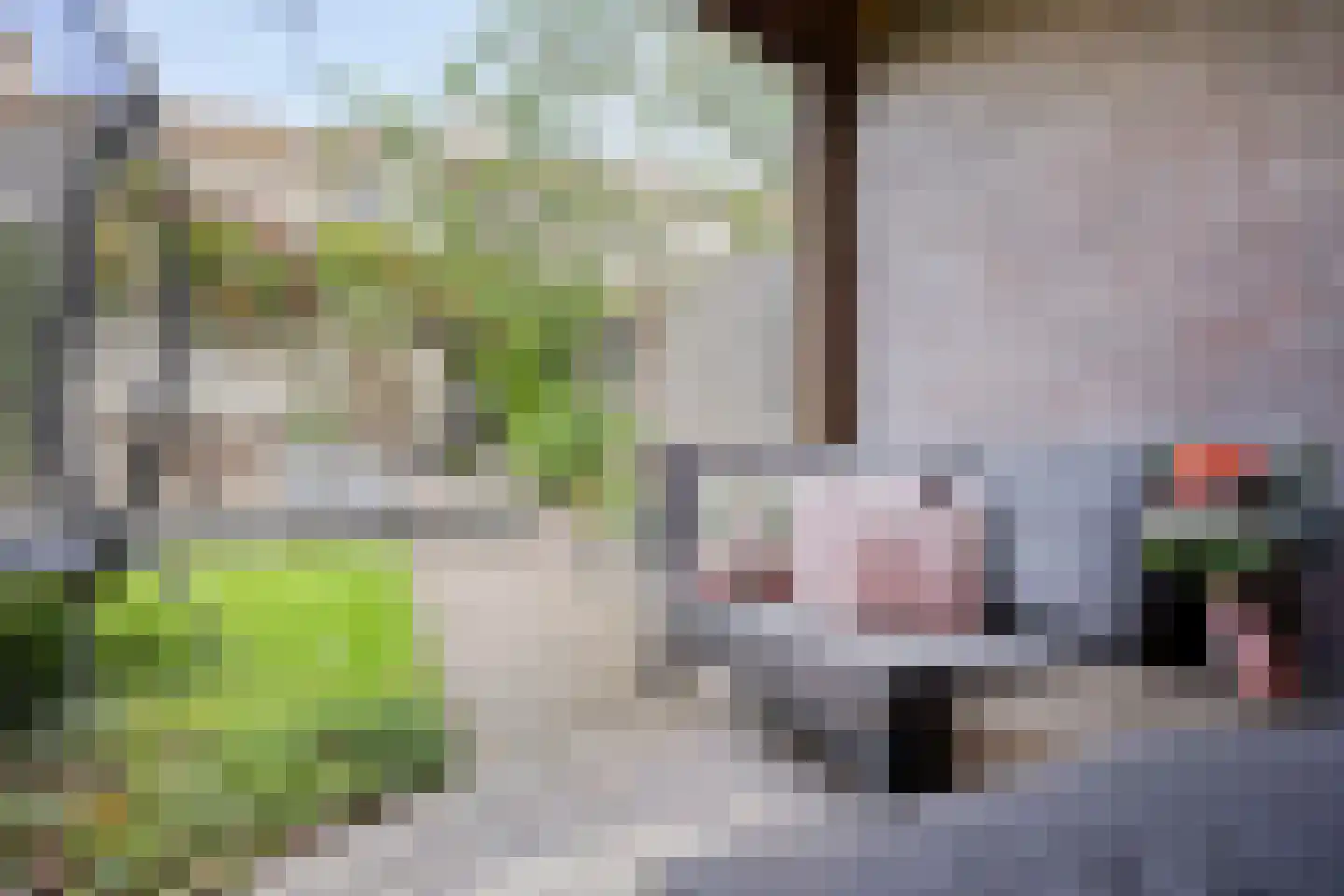 Vincentiuspad 10 Tilburg thumbnail 47