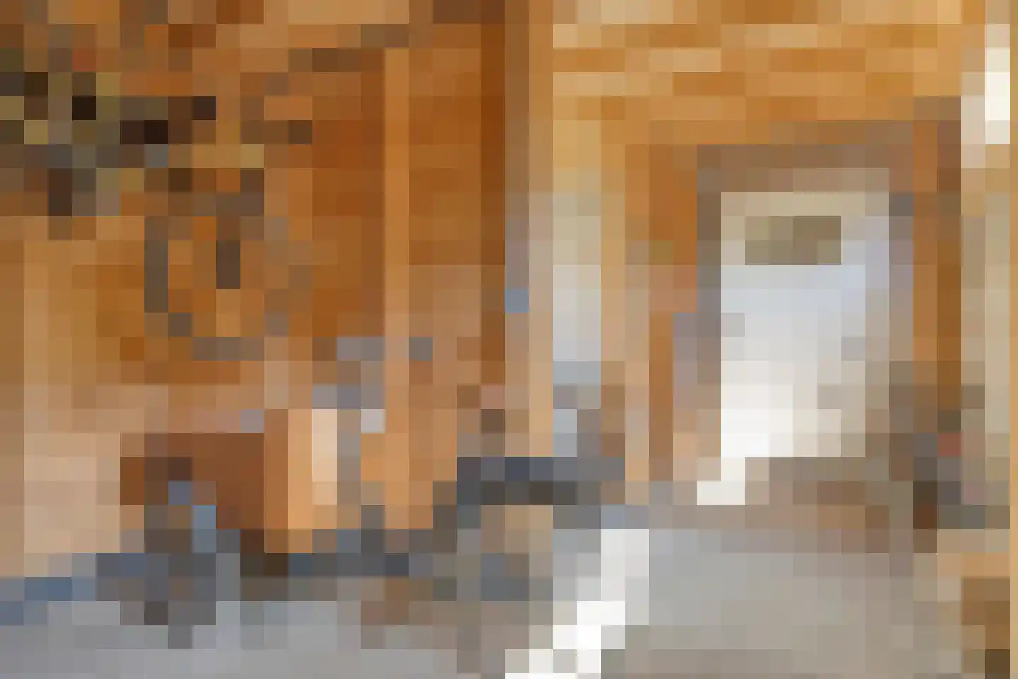 Vincentiuspad 10 Tilburg thumbnail 48