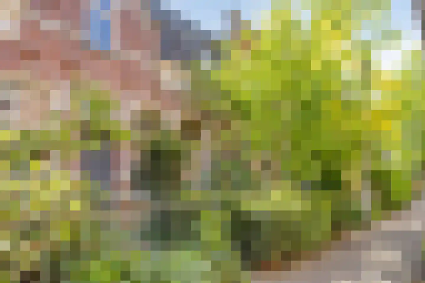 Vincentiuspad 10 Tilburg thumbnail 49