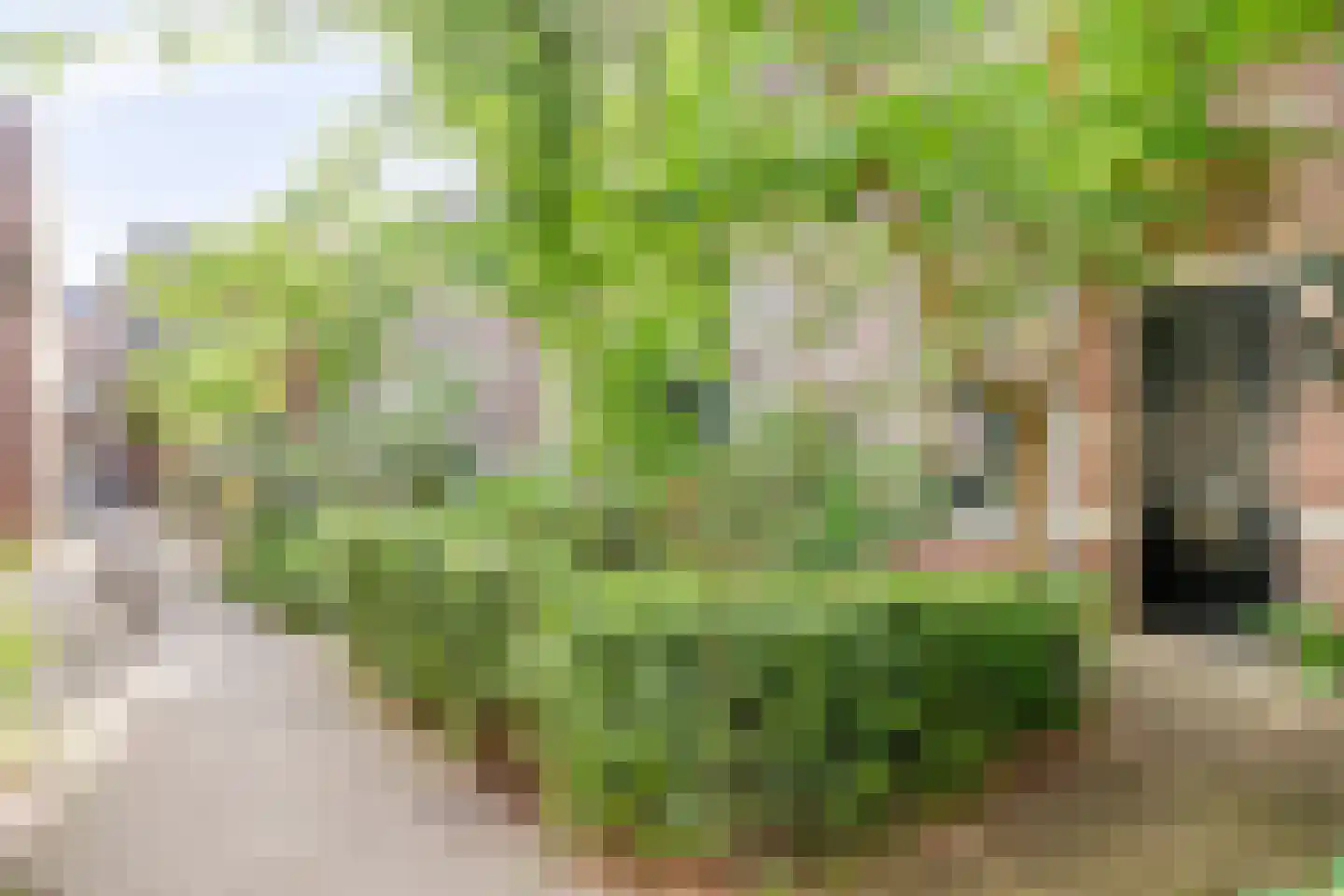 Vincentiuspad 10 Tilburg thumbnail 53