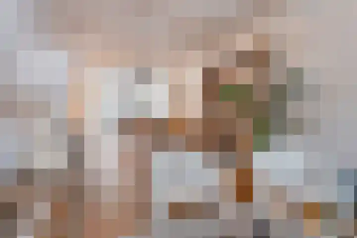 Vincentiusstraat 15 Roosendaal thumbnail 27