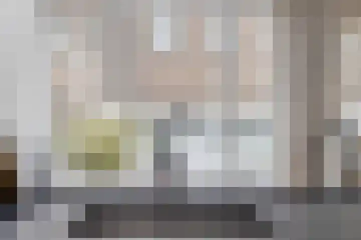 Vincentiusstraat 15 Roosendaal thumbnail 38