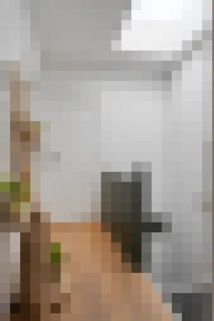 Vincentiusstraat 15 Roosendaal thumbnail 50