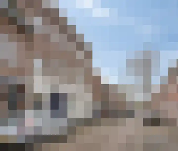 Vincentiusstraat 15 Roosendaal thumbnail 70
