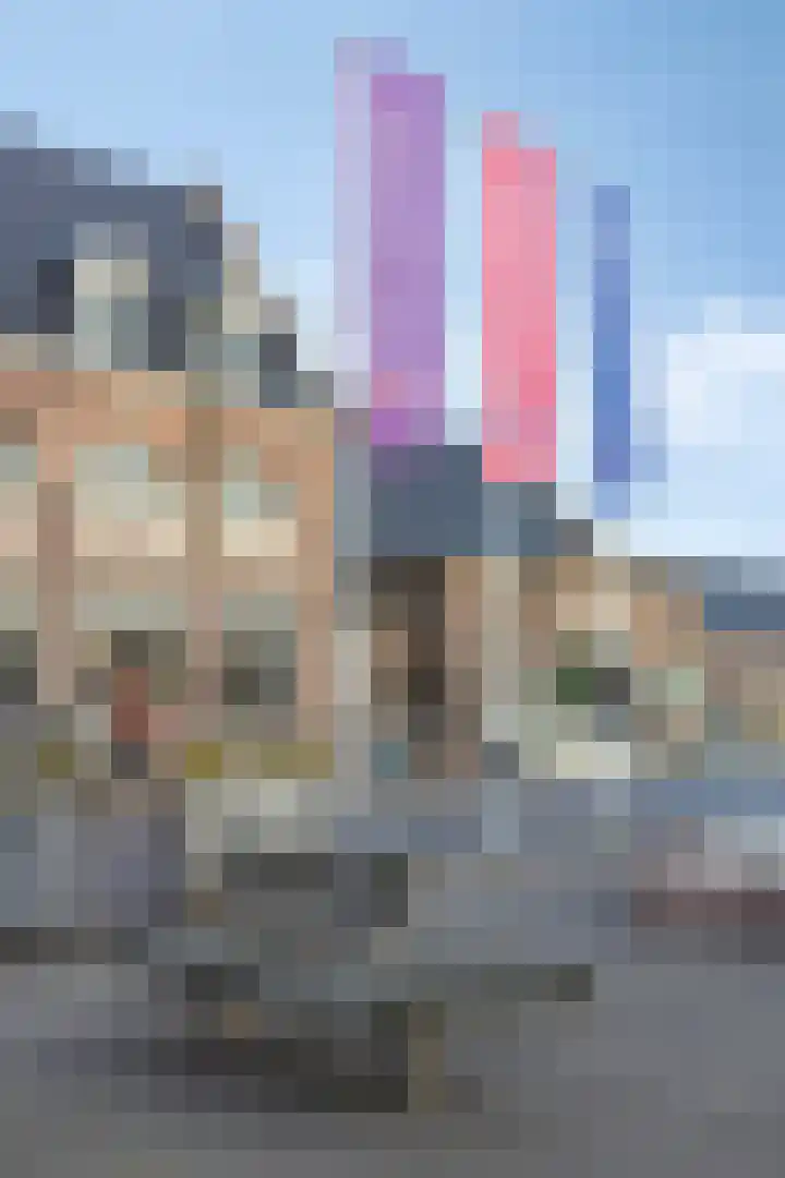 Vincentiusstraat 15 Roosendaal thumbnail 73