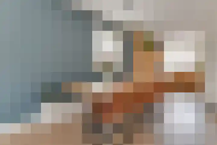 Vincentiusstraat 17 Warmenhuizen thumbnail 15