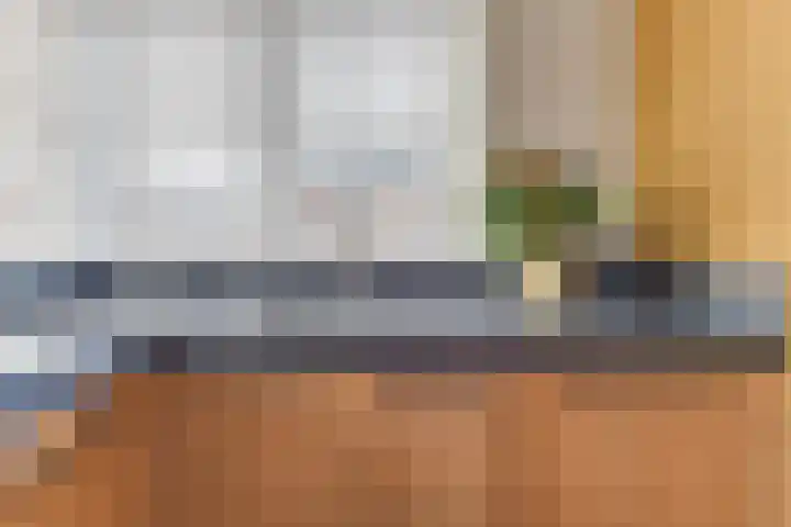 Vincentiusstraat 17 Warmenhuizen thumbnail 19