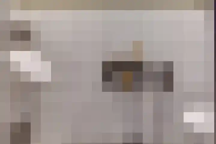 Vincentiusstraat 17 Warmenhuizen thumbnail 21