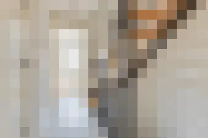 Vincentiusstraat 17 Warmenhuizen thumbnail 28