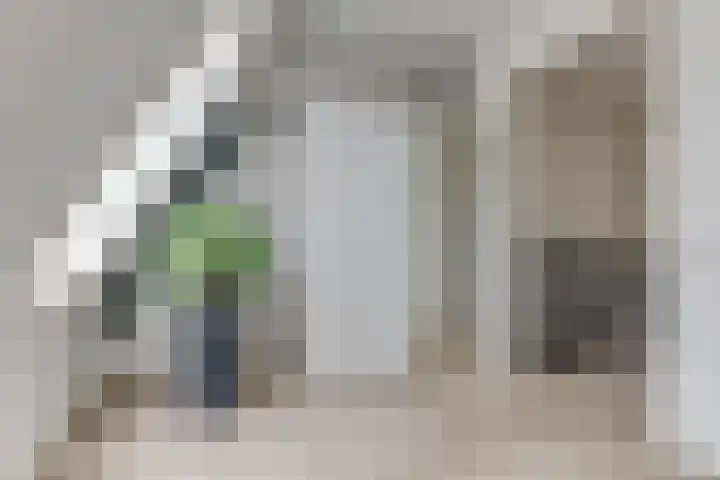 Vincentiusstraat 17 Warmenhuizen thumbnail 40