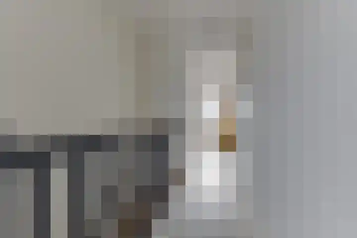 Vincentiusstraat 17 Warmenhuizen thumbnail 41