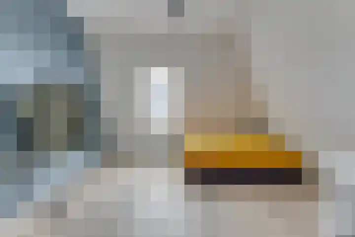 Vincentiusstraat 17 Warmenhuizen thumbnail 42