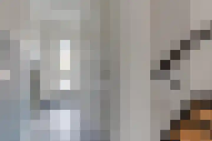 Vincentiusstraat 17 Warmenhuizen thumbnail 7
