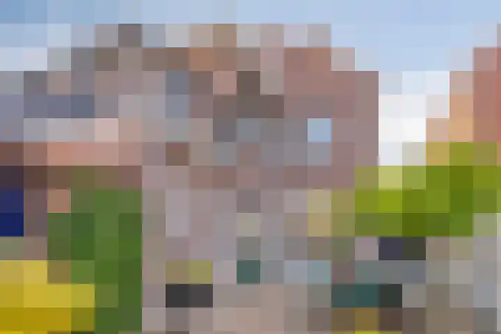 Vincentiusstraat 46 Roosendaal thumbnail 30