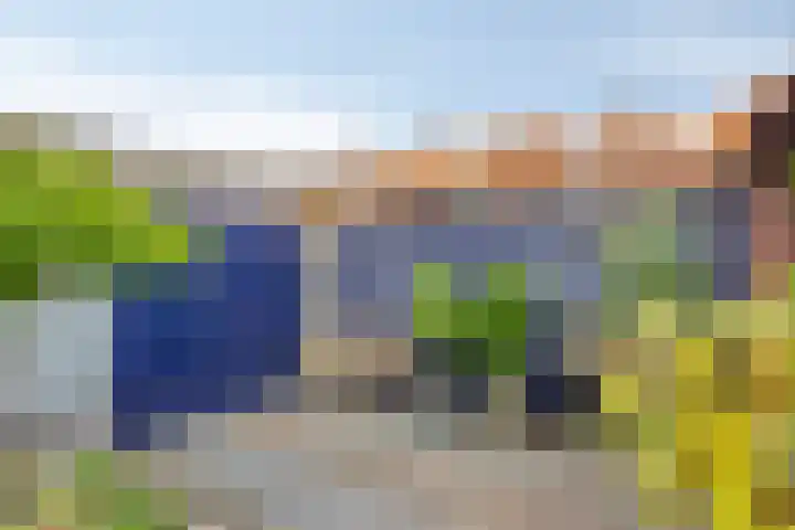 Vincentiusstraat 46 Roosendaal thumbnail 32
