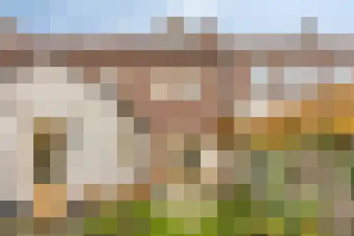 Vincentiusstraat 56 Roosendaal thumbnail 36