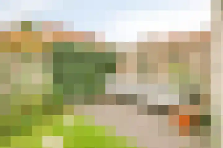 Vincentiusstraat 56 Roosendaal thumbnail 37