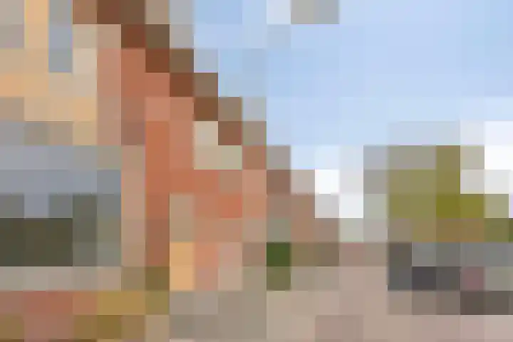 Vincentiusstraat 56 Roosendaal thumbnail 40