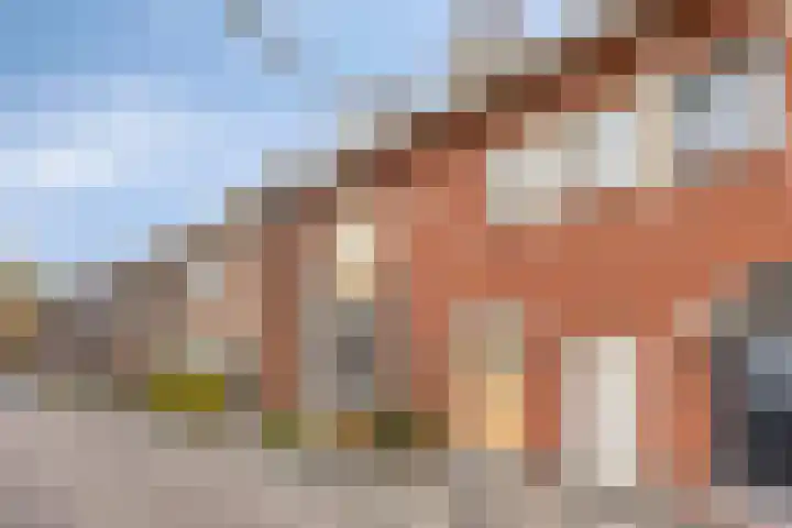 Vincentiusstraat 56 Roosendaal thumbnail 42