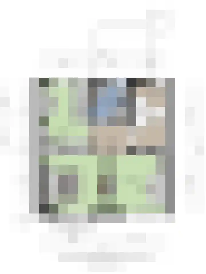 Vincentiusstraat 56 Roosendaal thumbnail 49