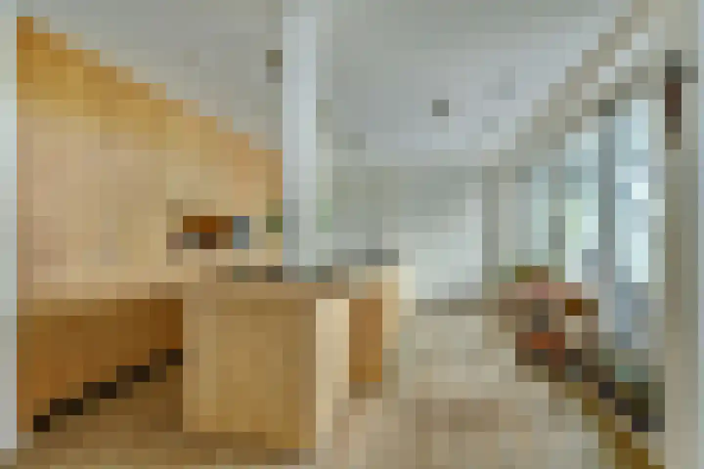 Vincentiusstraat 7 Warmenhuizen thumbnail 10