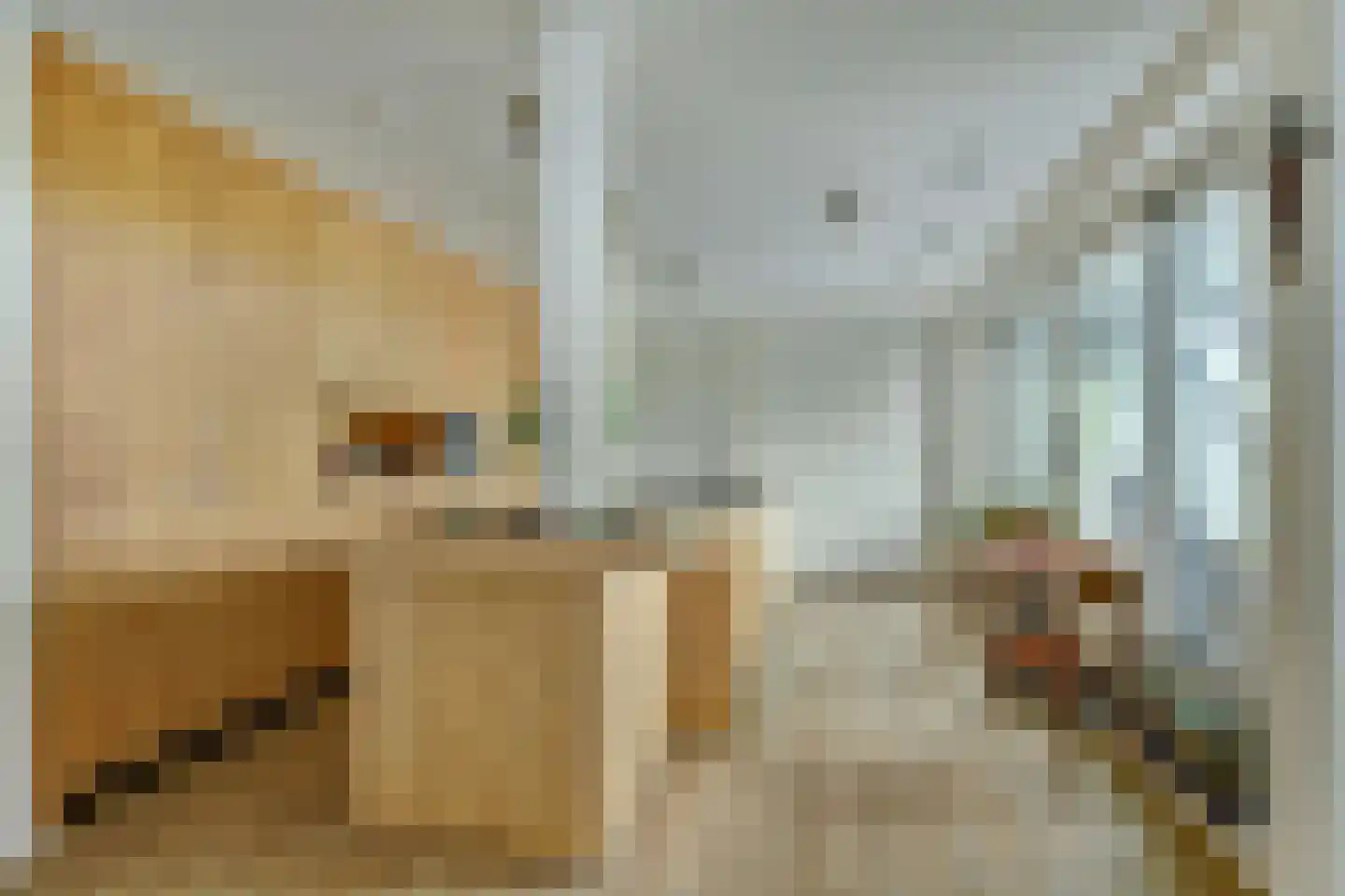 Vincentiusstraat 7 Warmenhuizen thumbnail 10