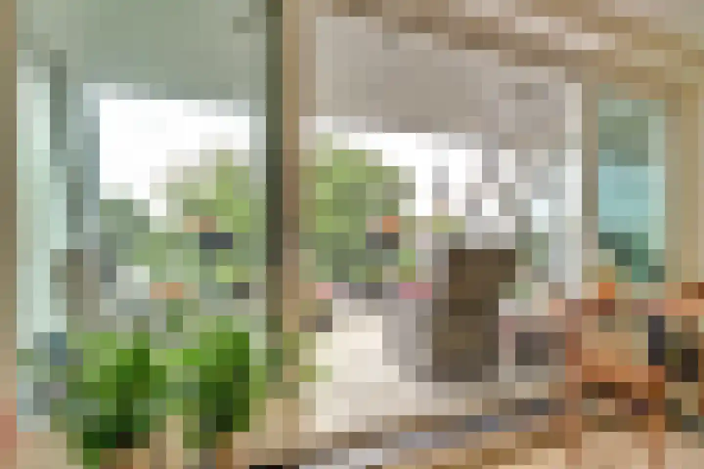 Vincentiusstraat 7 Warmenhuizen thumbnail 12