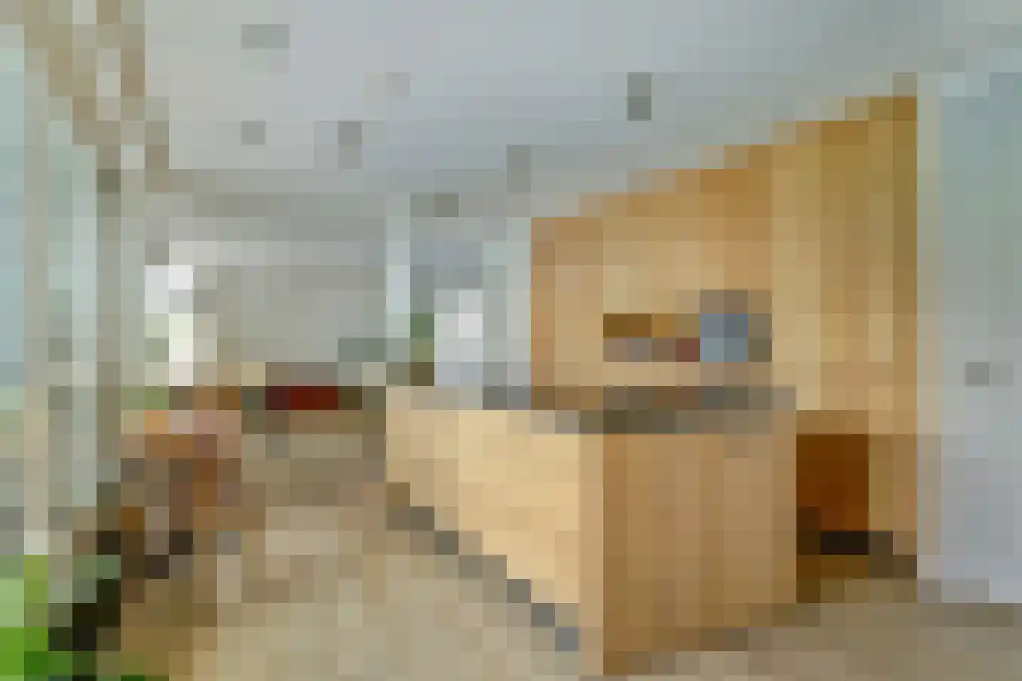 Vincentiusstraat 7 Warmenhuizen thumbnail 16