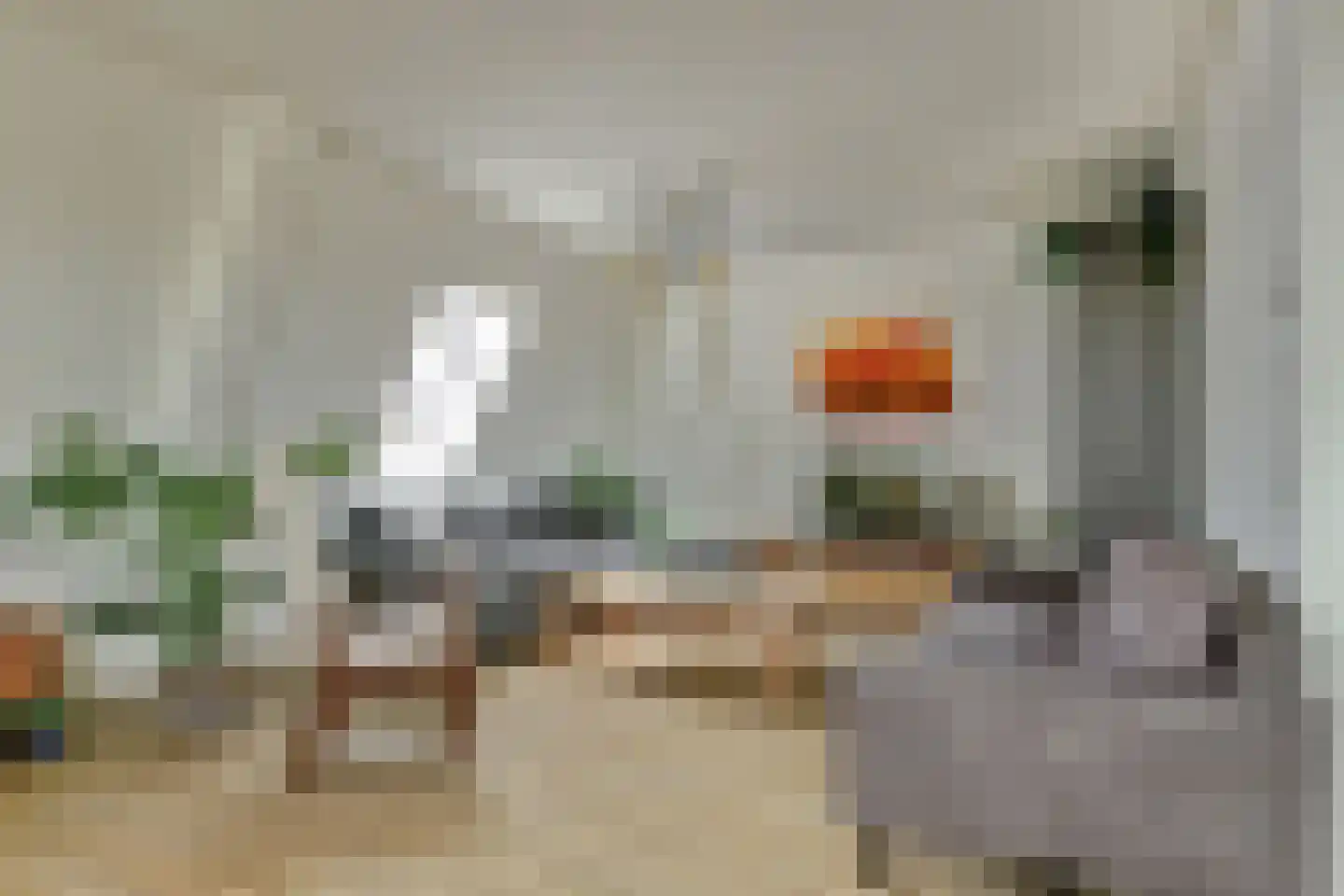 Vincentiusstraat 7 Warmenhuizen thumbnail 20