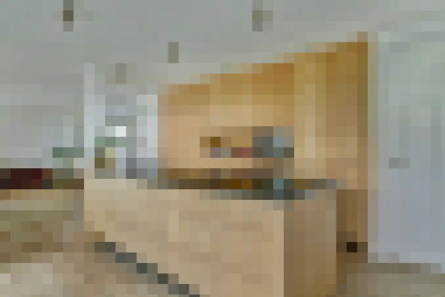 Vincentiusstraat 7 Warmenhuizen thumbnail 24