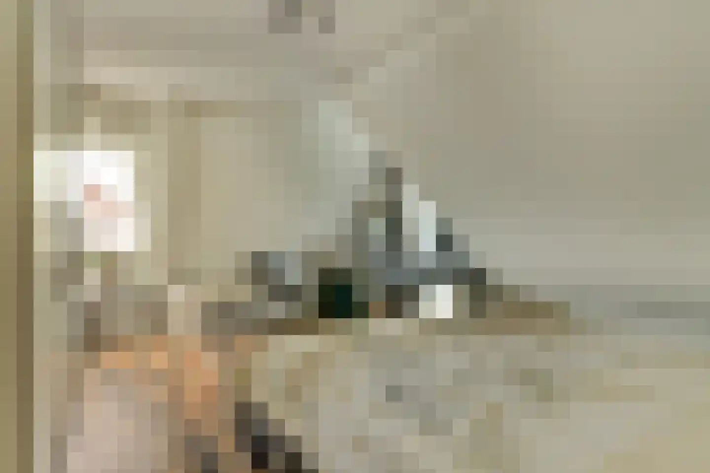 Vincentiusstraat 7 Warmenhuizen thumbnail 26