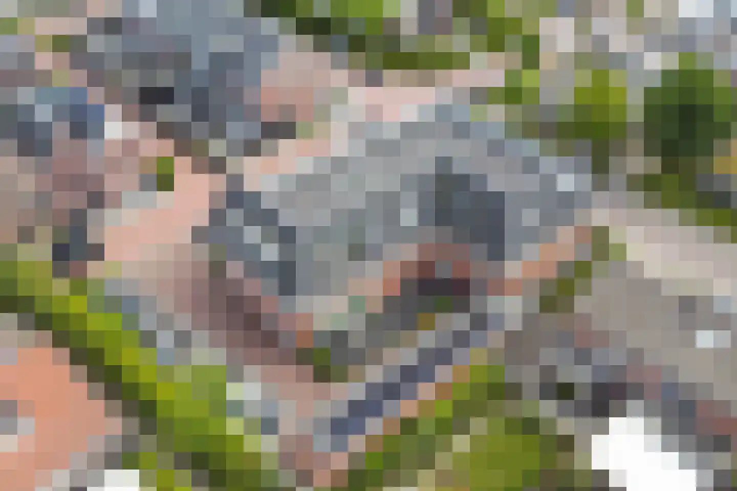 Vincentiusstraat 7 Warmenhuizen thumbnail 37