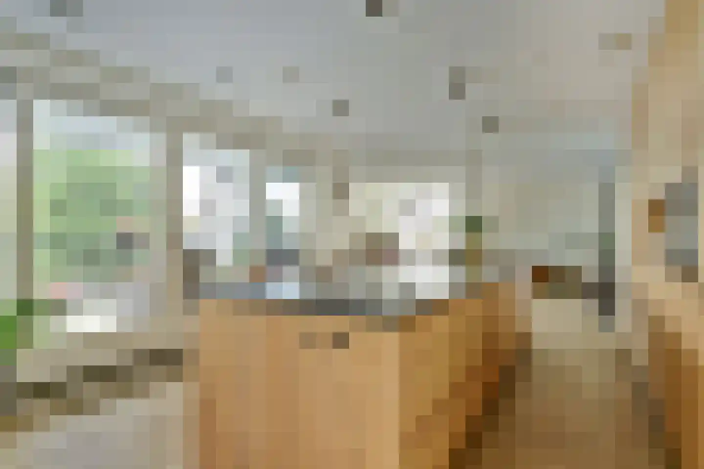 Vincentiusstraat 7 Warmenhuizen thumbnail 9