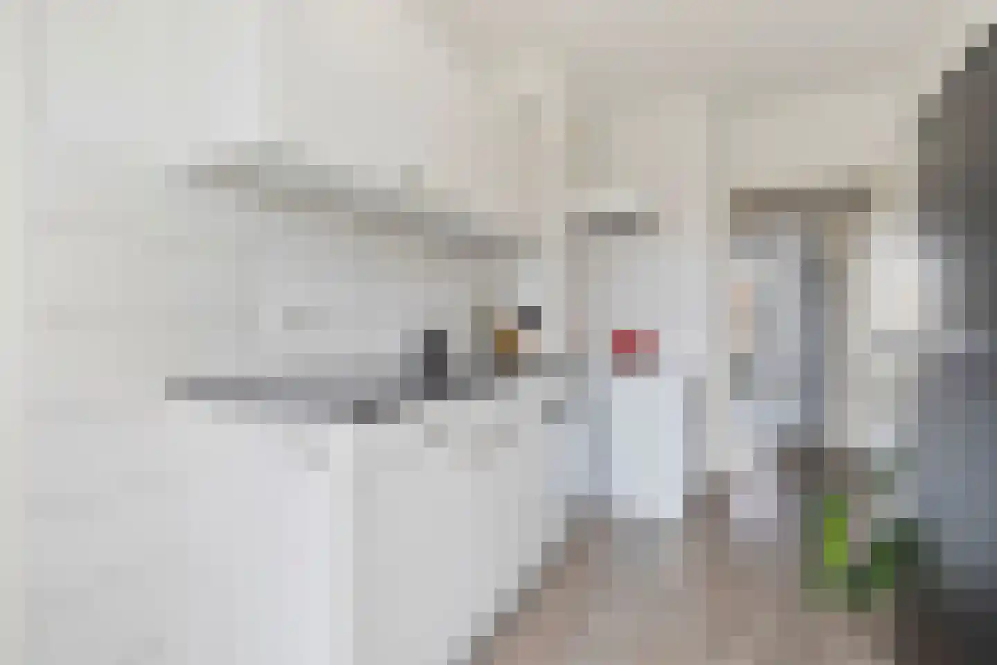 Vinckenhofstraat 96 Venlo thumbnail 24