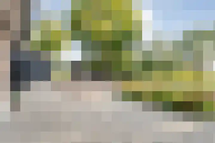 Vinckenweg 34 Geesteren thumbnail 19