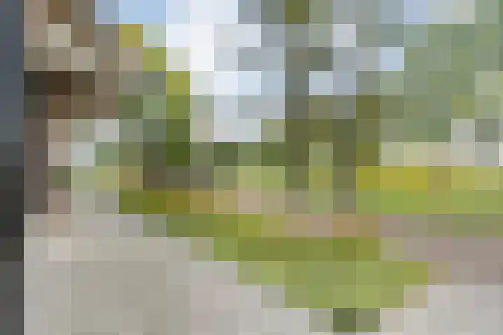Vinckenweg 34 Geesteren thumbnail 22