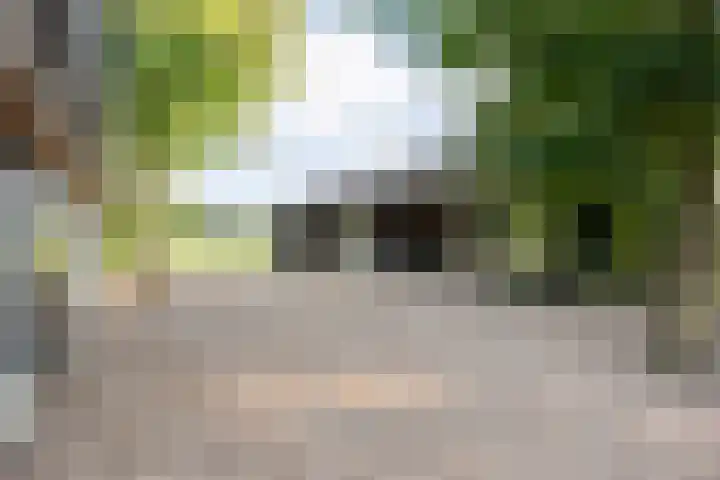 Vinckenweg 34 Geesteren thumbnail 23