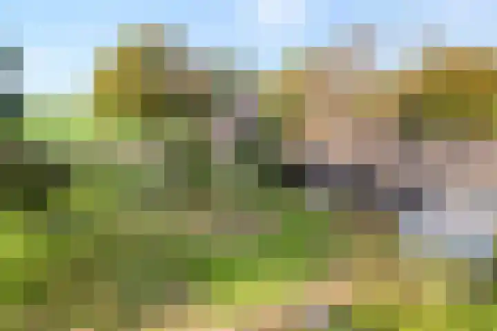 Vinckenweg 34 Geesteren thumbnail 30